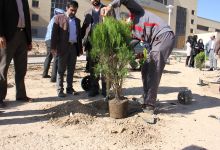 گزارش تصویری مراسم روز درخت کاری و تقدیر از نیروهای باغبانی دانشگاه